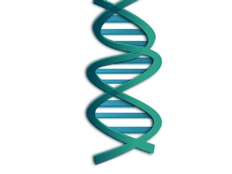 DNA PNG