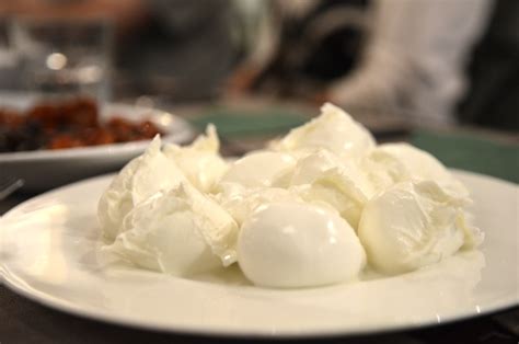 Buffalo Mozzarella Cheese - Daily Food Photo | Travel Yourself