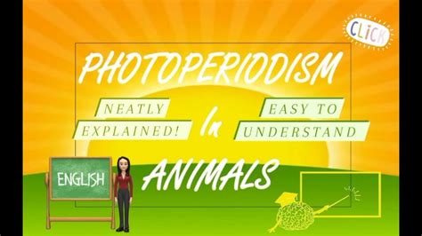 Photoperiodism in animals | photoperiod | biology | photoperiodism ...