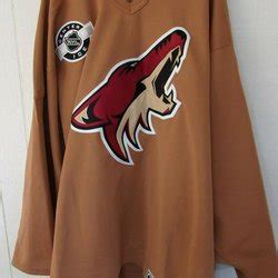 Arizona Coyotes Jerseys | New, Preowned, and Vintage