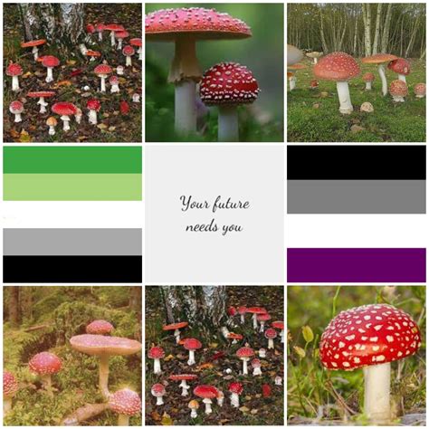 Aesthetic Mushrooms Tumblr