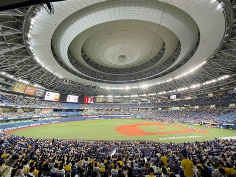 Attending a Japanese Baseball Game as a Foreigner ⋆ The Voyageer