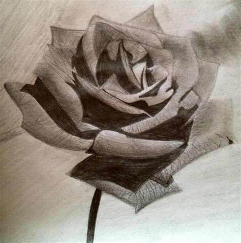 Rose Drawing by Falcofan100 on DeviantArt