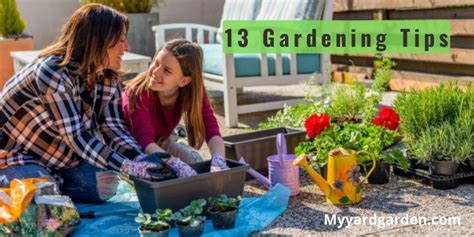 13 Gardening Tips (Simple & Effective Tips) - Outdoor Adventure