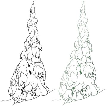 Cartoon Conifer Tree Isolated Conifer Tree Picture Tree Vector, Conifer Tree, Picture, Tree PNG ...