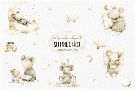 Sleeping mouse clipart PNG