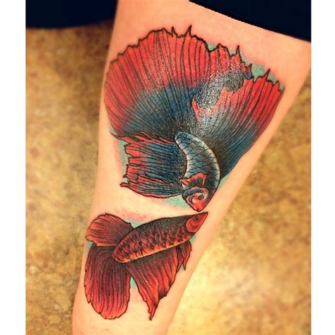 Betta fish tattoo by Carn1fex on DeviantArt