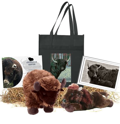 Adopt a Heritage Yak from World Heritage Yak Conservancy — WHYC