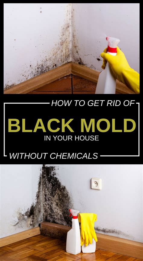 How To Get Rid Of Black Mold In Your House Without Chemicals - 101CleaningTips.net