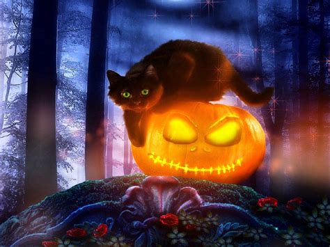 Black Cat Halloween Wallpapers - Top Free Black Cat Halloween ...