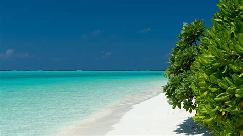 Download wallpaper: Turquoise waters of Maldives 3840x2160