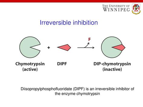 PPT - Welcome to class of Enzyme Kinetics and Inhibition PowerPoint Presentation - ID:4028909