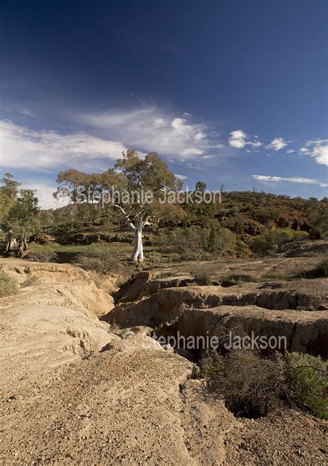 Best Photographs of Australian Rural Landscapes in South Australia,