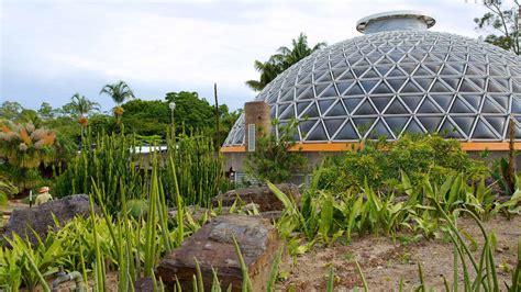 Explore the Enchanting Botanic Gardens in Brisbane