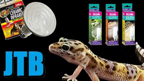 Leopard Gecko Heating And Lighting - YouTube