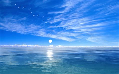 Download Horizon Sea Ocean Moon Seagull Blue Nature Sky HD Wallpaper