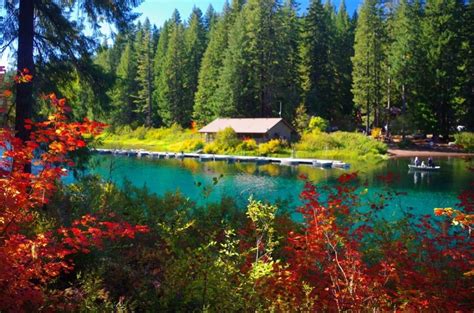 Clear Lake Resort in the Willamette National Forest