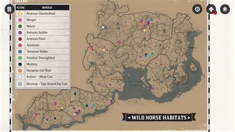 Red Dead Redemption 2 map stats | Eneba