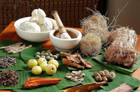 CCRAS and NCISM Launch ‘SMART 2.0’ to Mainstream Ayurveda Research – GKToday