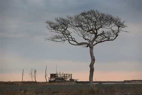 5 Years Since the 2011 Great East Japan Earthquake - The Atlantic