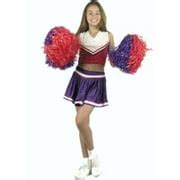 Cheerleader Costumes