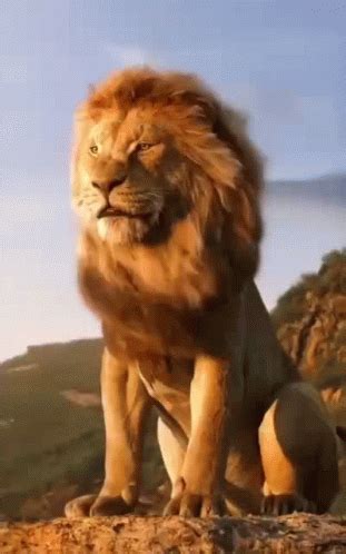 Lion King Animal GIF - LionKing Lion Animal - Discover & Share GIFs