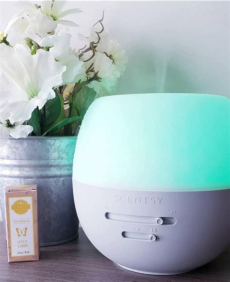 Scentsy Diffuser Bundle