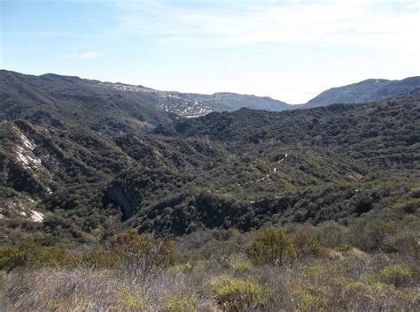 The Quibley Corner: Topanga Canyon