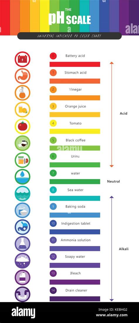 The pH scale Universal Indicator pH Color Chart diagram acidic Stock ...