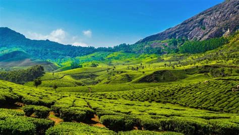 16 Best Places to Visit in Munnar Hill Station in Kerala | Bon Travel India