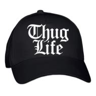 deal with it glasses - thug life sunglasses PNG image with transparent background | TOPpng