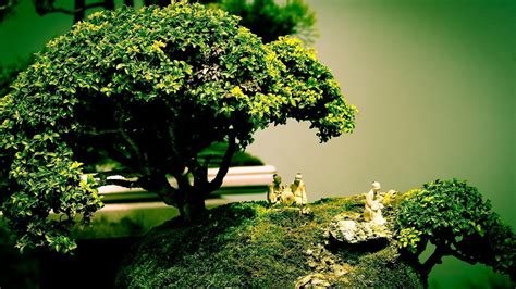 Bonsai Tree Wallpapers - Wallpaper Cave