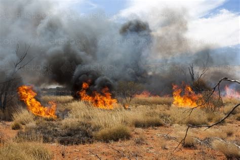 Image of Fire stick burning in arid Central Australia - Austockphoto