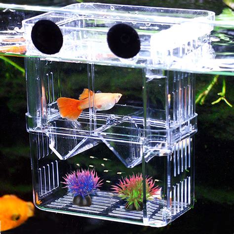 Buy Aquarium Fish Breeding Box, NETUEM Acrylic Double Layer Fish ...