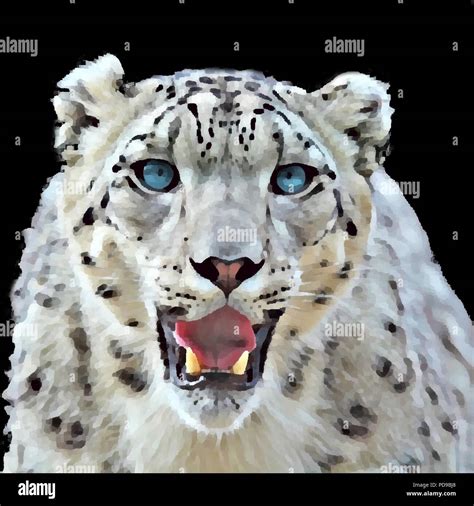 Snow Leopard Vector