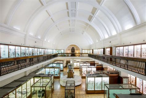 Britain’s best places to see: Taxidermy and natural history collections ...