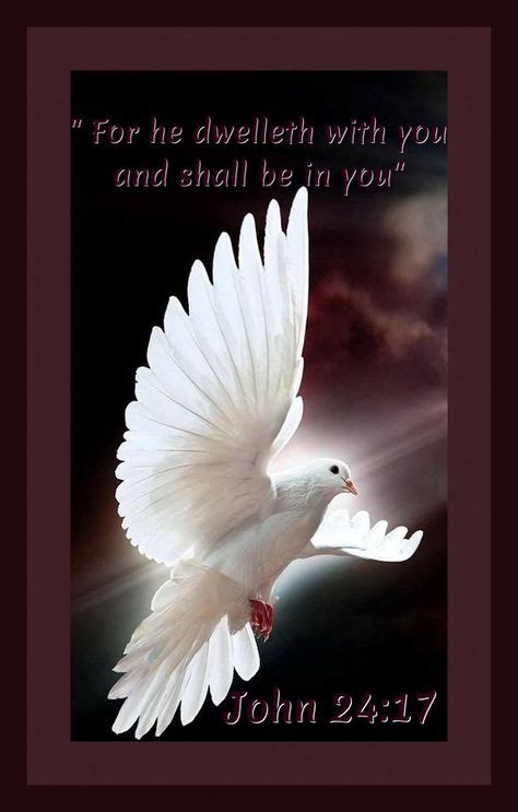 White dove with red rose | Inspirational Bible verses/quotes/worship music | Pinterest | Bird