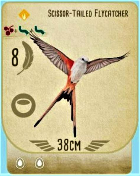 10 Prettiest Cards In Wingspan