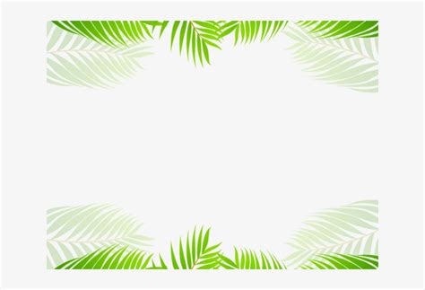 Clip Art Palm Tree Borders | PNG-clipart