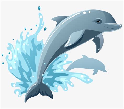 Download Cartoon Dolphin Vector Illustration - Dolphin Cartoon | Transparent PNG Download | SeekPNG