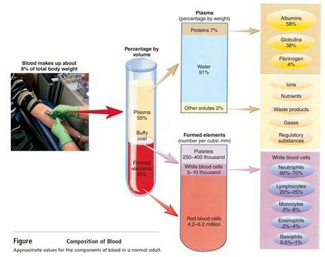 Composition of Blood