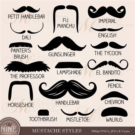 MUSTACHE STYLES Clipart Design Elements, Instant Download, Mustaches ...