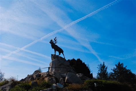 Beaumont-Hamel Newfoundland Memorial