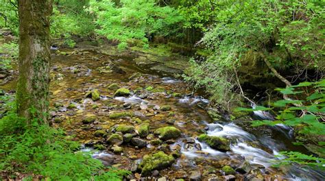 Brecon Beacons National Park Tours - Book Now | Expedia