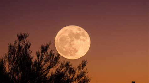 What time is the rare 'blue supermoon' on August 30?