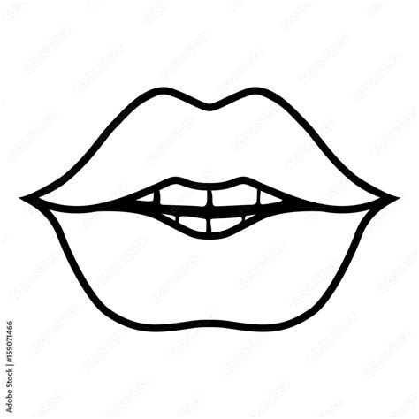 Vector female lip outline. Contour illustration woman mouth. Chubby lips. Stock Vector | Adobe Stock