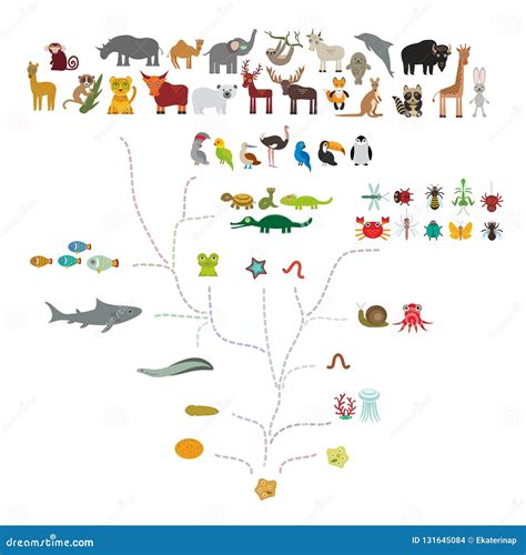 Evolución En Biología, Evolución Del Esquema De Los Animales Aislados ...