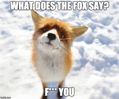 What Does The Fox Say? - Imgflip