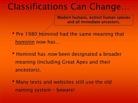 PPT - Hominin Evolution - Classification PowerPoint Presentation, free download - ID:6090041