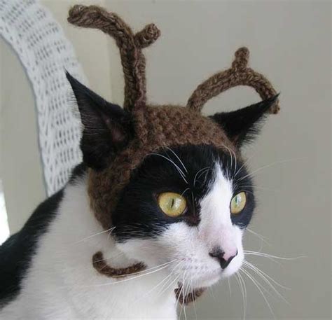 Kittens Christmas Outfits - 20 Christmas Costumes For Cats